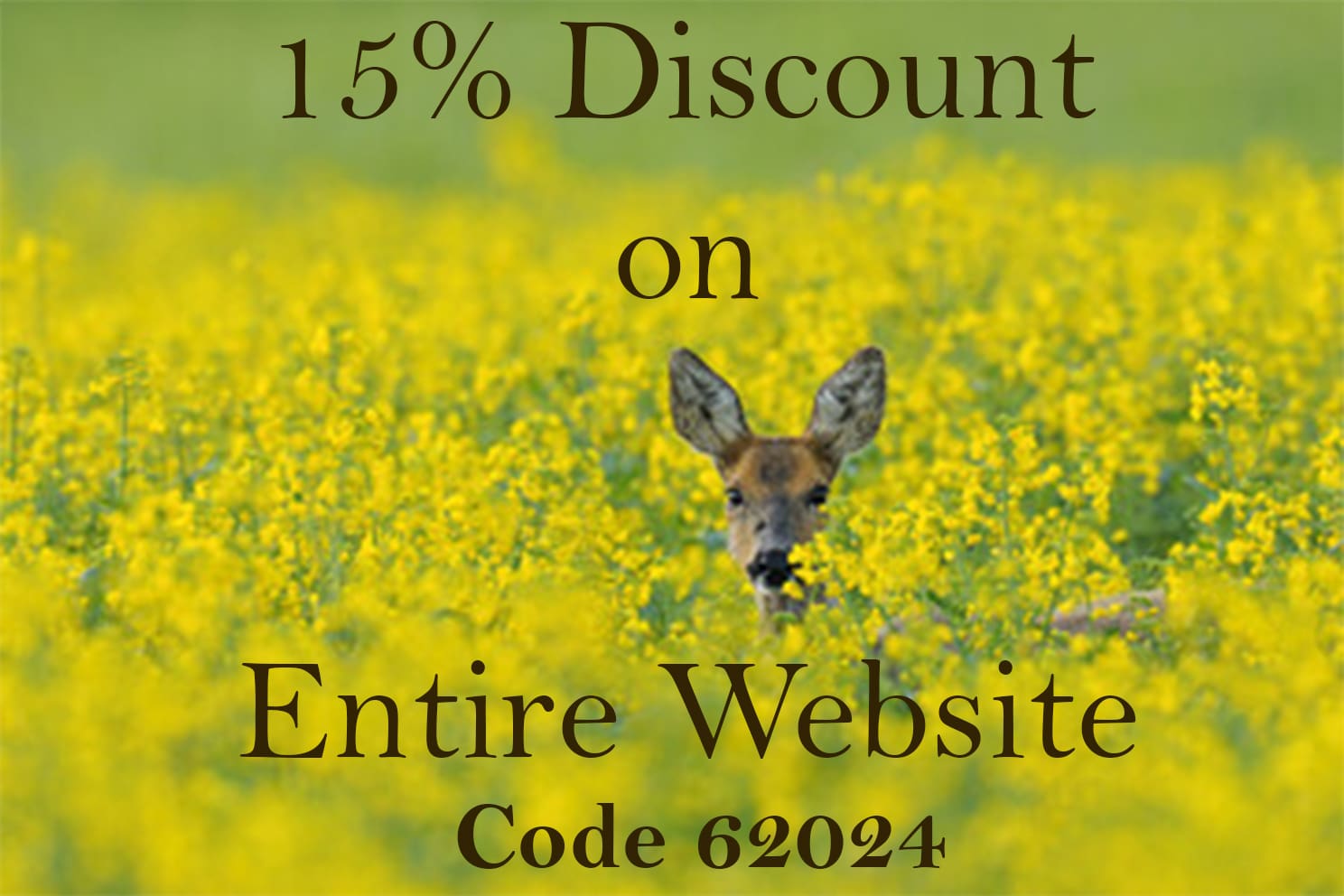 Website 2024 Spring Special 15% Discount