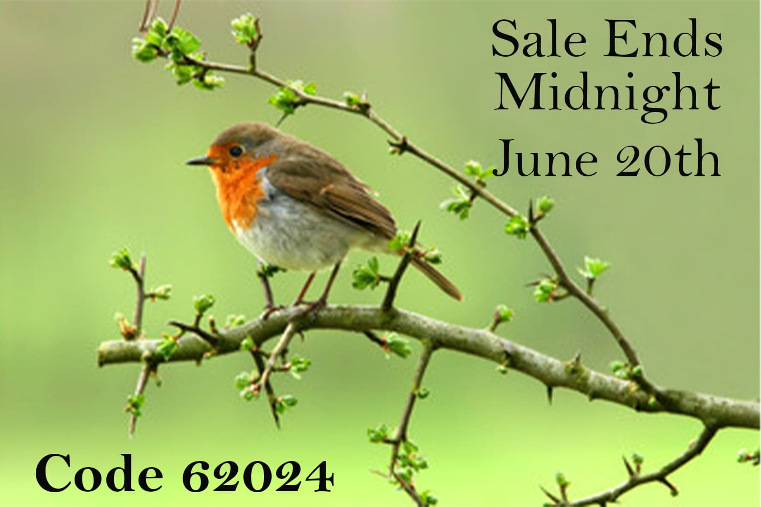 Website 2024 Spring Special-Sale Ends June 20 (ec1e906a-9109-4aa5-a782-c2fd209cf0ec)