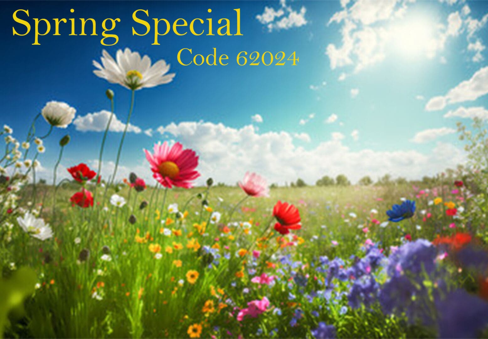 Website 2024 Spring Special